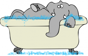 Elephant dans baignoire leger copie
