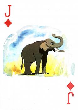 Eureka e le phant